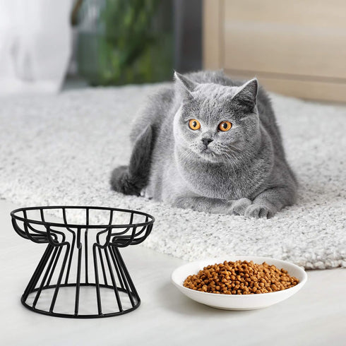 Cat Bowl, Ceramic Raised Cat Food Bowl, Elevated Anti Vomiting Feeding Bowl, Non Slip Dish for Cats