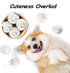 5-Pack Sedioso Dog Squeaky Toys, Interactive Dogs Toy, Stuffed Dog Chew Toys, Durable Plush Toy for Puppy, Small