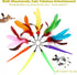 Interactive Cat Toys - Retractable Wand Toy and Feather Toys Refills for Indoor Cats