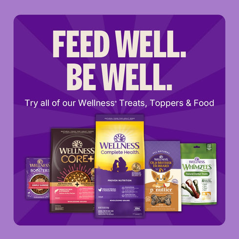 3 oz Wellness Soft Puppy Bites Dog Training Treats, Natural, Grain Free, Lamb and Salmon Recipe, Bag