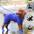 Puppy Dogs Candy Colors Anti-Slip Waterproof Rubber Rain Shoes, Boots Paws Cover (Blue, Large)