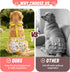CZMIYRPY 3 Pack Female Dog Diapers Washable Dog Diapers Female Dog Diaper that Stay on Dog Diaper Female