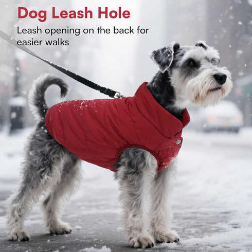 ASENKU Waterproof Windproof Dog Winter Coat, Warm Snowproof Puffer Vest for Small Medium Large Dogs (M, Red)