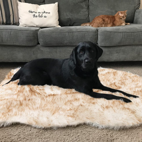 Asrug Soft Faux Fur Pet Bed Mat, Plush and Fluffy Throw Rug for Dogs Cats, Brown & White, 3ftx5ft