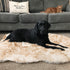 Asrug Soft Faux Fur Pet Bed Mat, Plush and Fluffy Throw Rug for Dogs Cats, Brown & White, 3ftx5ft