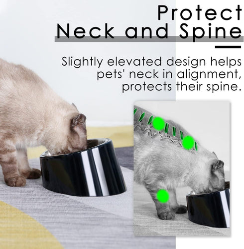 SuperDesign Mess Free Slanted Bowl for Dogs and Cats, Tilted Angle Non-Skid Dog Feeder, Easier to Reach Food
