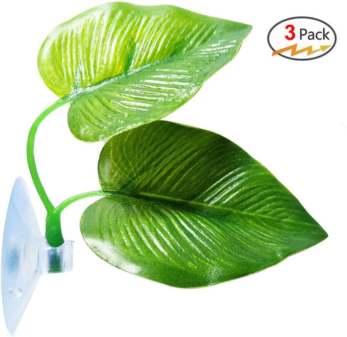 3 Pack Betta Fish Leaf Pad, Natural & Organic, Improves Betta's Health, Comfortable Rest Area for Aquarium