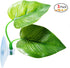 3 Pack Betta Fish Leaf Pad, Natural & Organic, Improves Betta's Health, Comfortable Rest Area for Aquarium