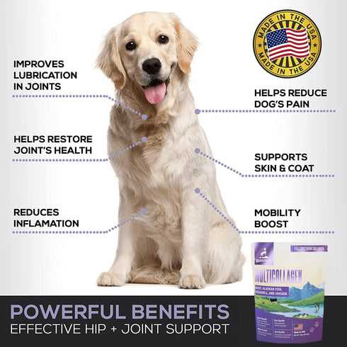 Multi-Collagen Peptide Daily Liquid Collagen for Dogs, Joint Supplement for Arthritis and Skin Health