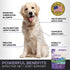 Multi-Collagen Peptide Daily Liquid Collagen for Dogs, Joint Supplement for Arthritis and Skin Health