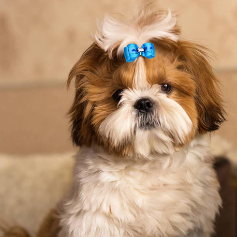 50pcs / 25Pair Small Dog Hair Bows with Rubber Bands and Rhinestones, Random Color Puppy Grooming Accessories