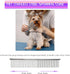 Grooming Scissors for Dogs - Fcysy Professional Dog Grooming Kit, Curved Haircut Scissors and Blending Shears Set