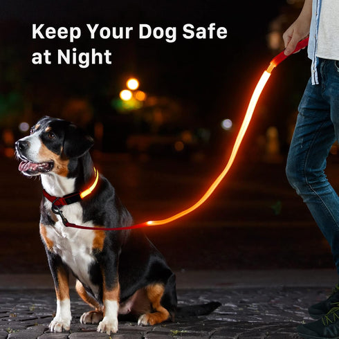 LED Light Up Dog Leash 3 Lighting Modes USB Rechargeable, High Visibility Up to 400 Yards Safety Glow in The Dark Dog Leash for Large Medium Small Pets