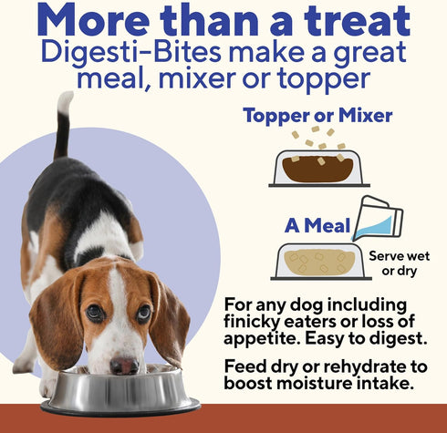Dave's Pet Food Digesti-Bites Freeze Dried Beef and Beef Liver Dog Treats with Pumpkin Fiber & Probiotics