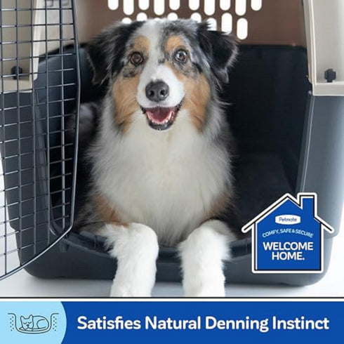 Petmate Sky Kennel, 21 Inch, IATA Compliant Dog Crate for Pets up to 15 pounds, Made in USA