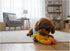 Dog Squeaky Plush Toy with Rope - Durable Stuffed Dog Toy with Built-in Squeaker, Interactive Chew Toy for Small