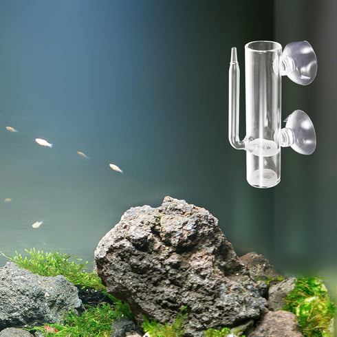 1set Mikikit Glass Shrimp Incubator Box Neocaridina Shrimp Brooder for Dream Live