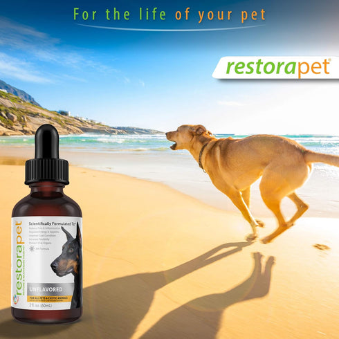 RestoraPet 1-Pack Dog & Cat Unflavored Liquid Multivitamin | Dog Arthritis Pain Relief | Hip & Joint Vitamins
