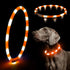 HIGO LED Dog Collar - Rechargeable Light Up Dog Collars, Lightweight Silicone Pet Safety Collar Lights for Night