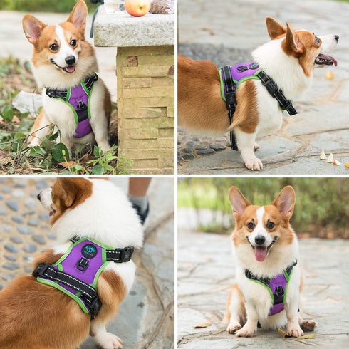 PHOEPET 2019 Upgraded No Pull Dog Harness, Reflective Adjustable Vest with Training Handle, Purple, Size L