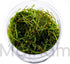 Mainam 30+ Package Set Rosette Stems Starter Beginner Live Aquarium Plants Java Moss, Micro Sword, Amazon Sword