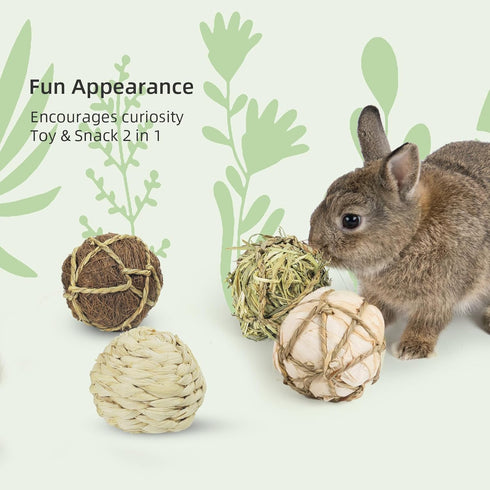 andwe Small Animals Play Balls, Rolling Chew Toys & Gnawing Treats for Rabbits, Guinea Pigs, Pack of 4