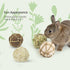andwe Small Animals Play Balls, Rolling Chew Toys & Gnawing Treats for Rabbits, Guinea Pigs, Pack of 4