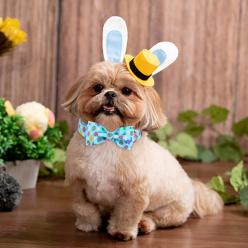 ARING PET Easter Dog Collar with Bow, Adjustable Cute Egg Rabbit Bowtie for Small Medium Large Dogs