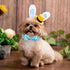 ARING PET Easter Dog Collar with Bow, Adjustable Cute Egg Rabbit Bowtie for Small Medium Large Dogs