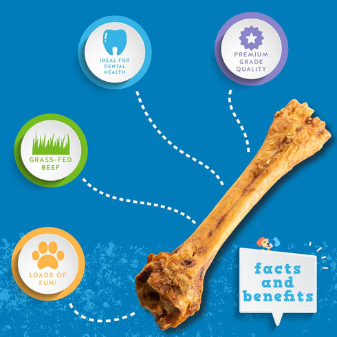 Jack&Pup Roasted Meaty Beef Shin Bone Dog Treats - 8-11” Long Lasting All Natural Gourmet Chews (3 Pack)