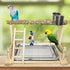 PINVNBY Bird Playground Parrot Playstand Birds Play Stand Wood Exercise Perch Gym Stand Playpen Ladder with Feeder Cups