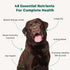 Doggie Greens, Natural Dog Vitamins & Probiotics, 6-in-1 Supplements & Vitamins Chews, Super Greens for Dogs