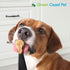 100% 16 oz Natural Peanut Butter for Dogs Safe - Healthy Dog Treats - No Sugar, Xylitol Free, Digestive Support - Puppy