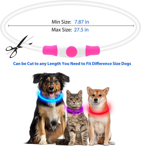 LED Dog Collar, USB Rechargeable Glowing Lighted Collar, Water-Resistant TPU Safety Lights for All Dog Sizes