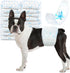 Dog Diapers Male 100Ct, Male Dog Diapers Disposable with Wetness Indicator, Adjustable