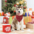 Malier 2 Pack Dog Bandana Christmas Classic Plaid Snowflake Scarf Set for Small Medium Large Dogs (Green + Red)