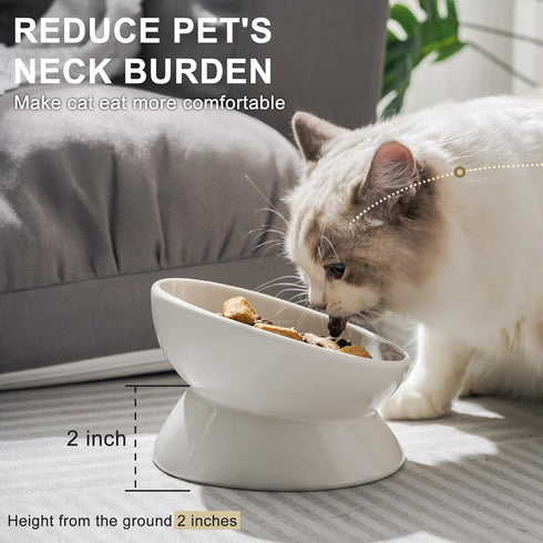 Cat Bowl Elevated Tilted - Ceramic Raised Cat Food Bowl for Cats and Small Dogs - 6 Inches Stress Free Whisker Friendly Pet Bowl Dish, Anti Vomit & Reduce Neck Burden Feeding, White, 10 Oz