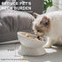 Cat Bowl Elevated Tilted - Ceramic Raised Cat Food Bowl for Cats and Small Dogs - 6 Inches Stress Free Whisker Friendly Pet Bowl Dish, Anti Vomit & Reduce Neck Burden Feeding, White, 10 Oz