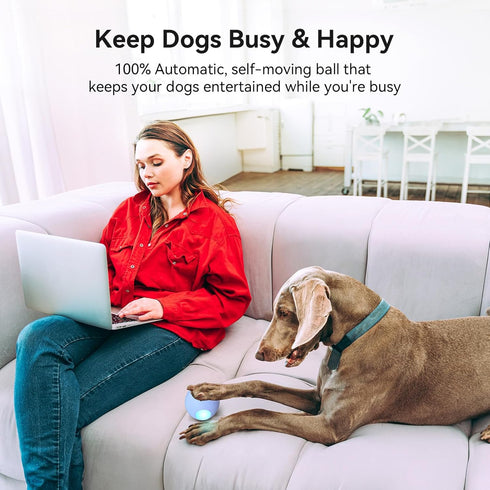 Cheerble Smart Interactive Dog Toy - Wicked Ball, Automatic Moving Bouncing Ball for Medium Large Dogs