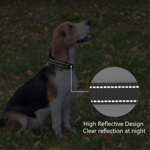 Reflective Padded Dog Collar with Soft Neoprene, Quick Release Basic Collar for Large Dogs, Black
