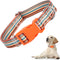 Orange Dog Collar for Large Dogs, Cute Tribal Ethnic Aztec Patterns, Adjustable Soft Collar for XS to XL Dogs