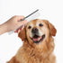 uxcell Metal Dog Comb with Rounded Teeth, 1 Pack, Pet Hair Care Tool, 7.3IN