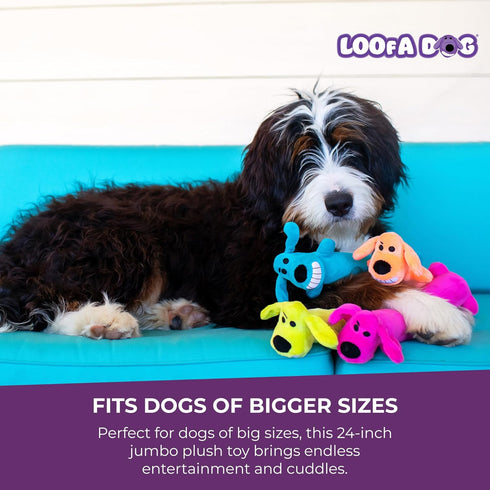 (1 Count, 24, Multipet Original Loofa Dog Plush Toy - Squeaky Toy for All Dogs - Extra Soft Plush - Stuffed Animal Dog