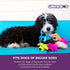 (1 Count, 24, Multipet Original Loofa Dog Plush Toy - Squeaky Toy for All Dogs - Extra Soft Plush - Stuffed Animal Dog