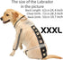Olsa Dog Hooded Slicker Poncho Raincoat, 4 Legs Rain Jacket with Reflective Stripe, Waterproof for Small Medium Dogs