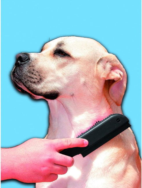 Evriholder FURemover Pet Hair Removal Brush, Color May Vary