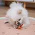 MON2SUN 21.2oz (30 Count Pack 1) Rawhide Free Dog Treats, Chicken Wrapped Carrot Snacks, Healthy and Natural Chews