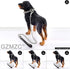Dog Chain Collar - High Polished Stainless Steel Cuban Link Heavy Duty Chew Proof Walking Chain Leash for Small Dogs