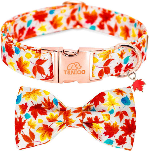Fall Dog Collar with Elegant Bow Tie, Durable Adjustable Autumn Pet Collar, Available in Small Medium Large.