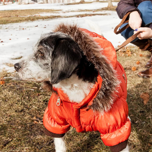 PET LIFE Classic Metallic Fashion Pet Dog Coat Jacket Parka, Small, Metallic Orange with 3M Insulation
